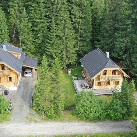Almhaus & Almchalet Flattnitz Екстер'єр фото