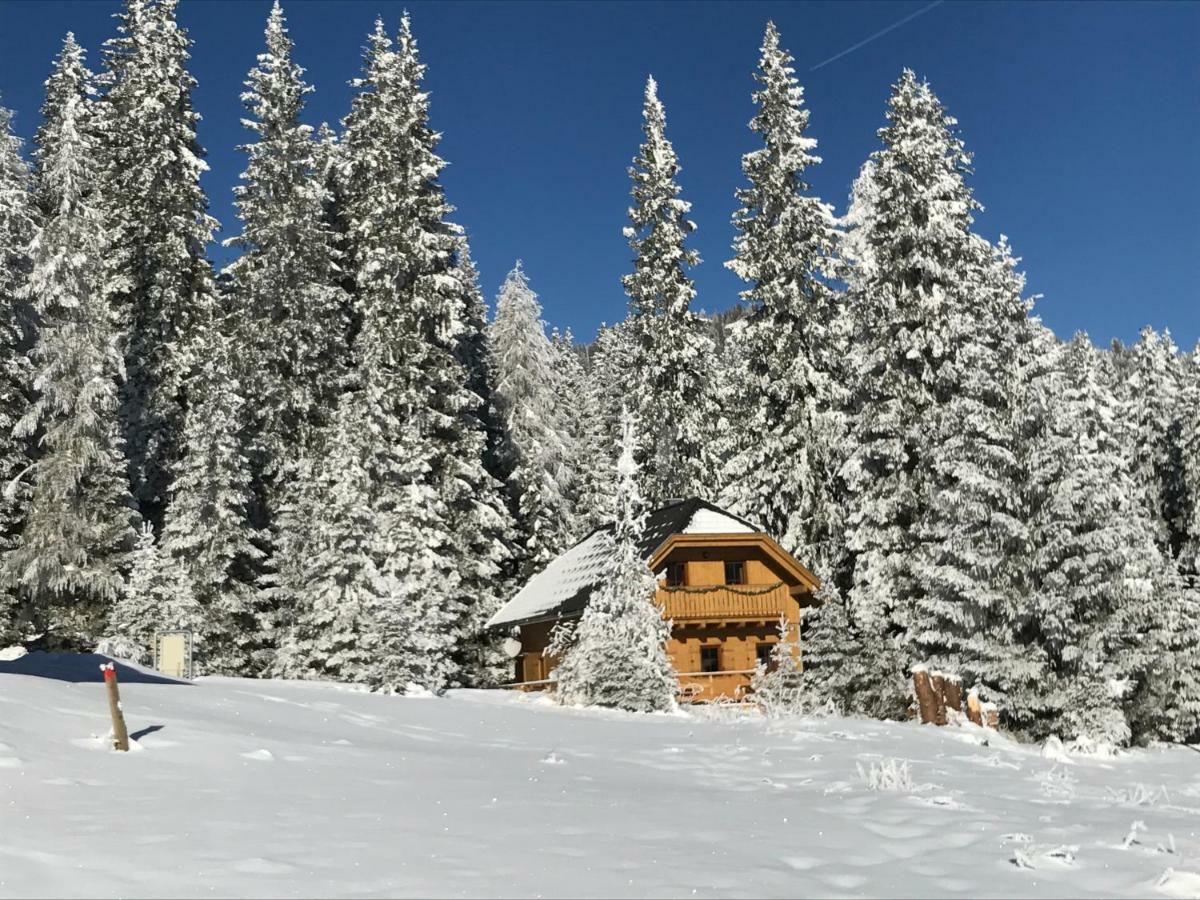 Almhaus & Almchalet Flattnitz Екстер'єр фото